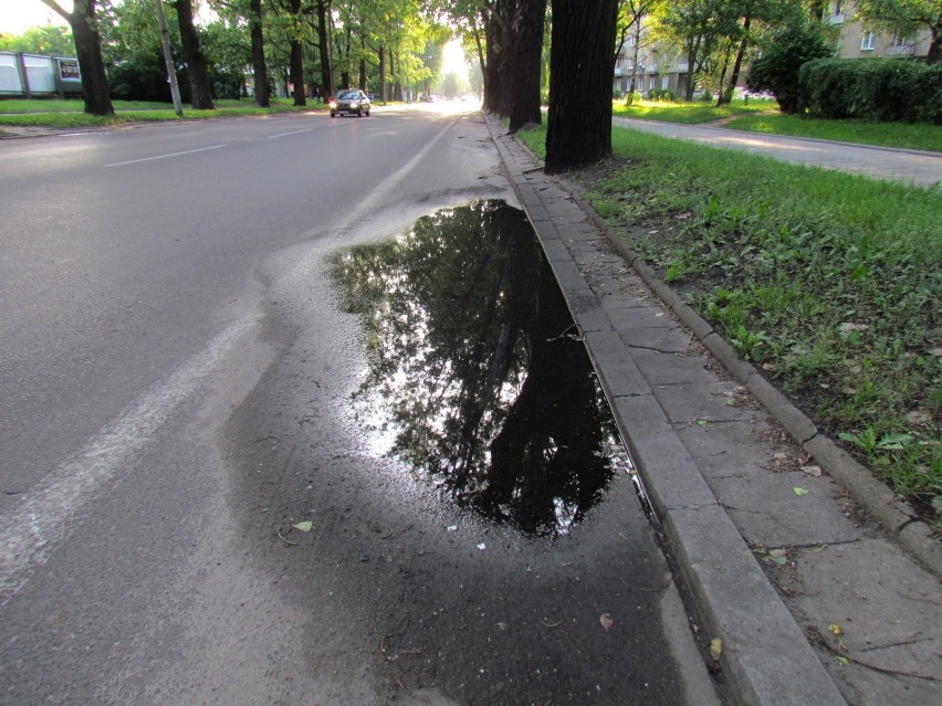 Urzędnicy nie dbają o jedyny pas rowerowy