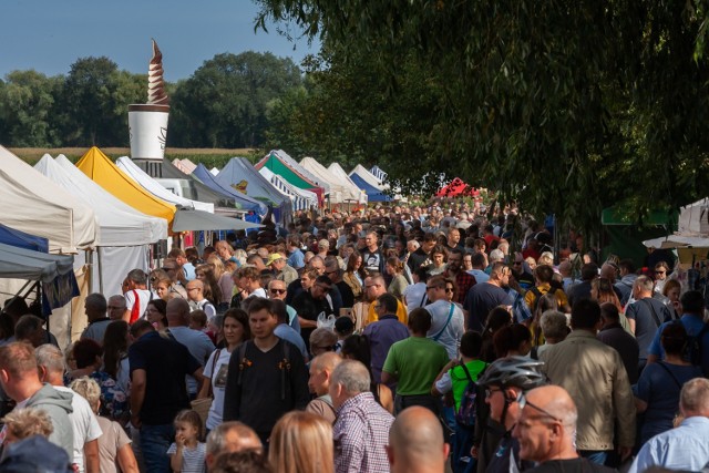 Udany pierwszy dzień Święta Śliwki w Strzelcach Dolnych. W niedzielę 5 września drugi dzień imprezy