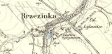 Jak wyglądały Gliwice 200 lat temu? Oto historyczne mapy z XIX wieku! Tak zmieniły się dzielnice miasta! 