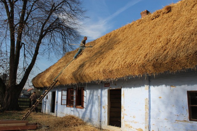 Nowy dach na budynku, tak jak przed 200 laty, w całości będzie kryty strzechą. Materiał sprowadzono z drugiego końca Polski