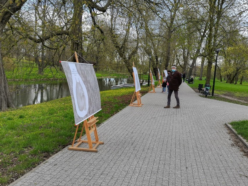 Szamotuły. O uczuciach w formie ilustracji. Zajrzyj do Parku Zamkowego na niecodzienną wystawę [ZDJĘCIA]