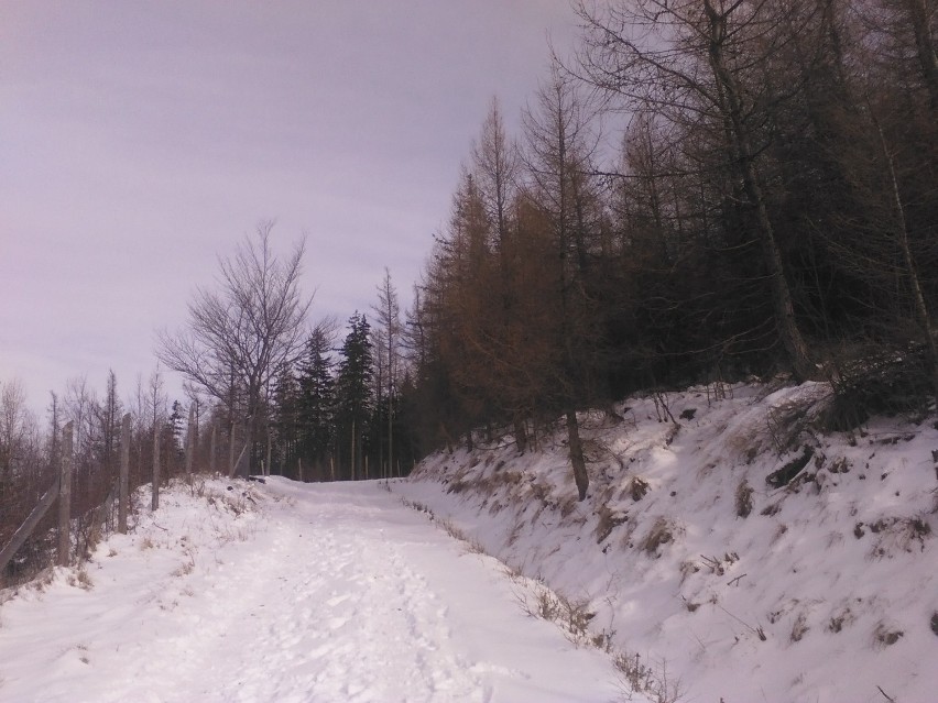 Karkonosze. W górach nadal piękna zima  (FOTO)