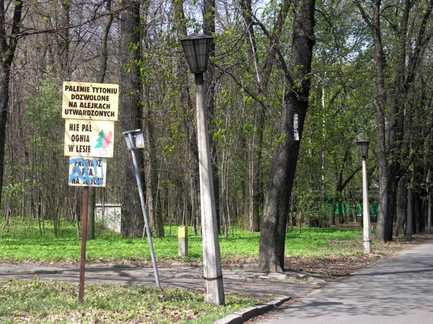 Las komunalny - oaza wytchnienia. Fot. Andrzej Pieczyrak
