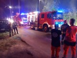 Pożar na działkach w Szczecinie. Nocna akcja straży pożarnej przy ul. Chłapowskiego