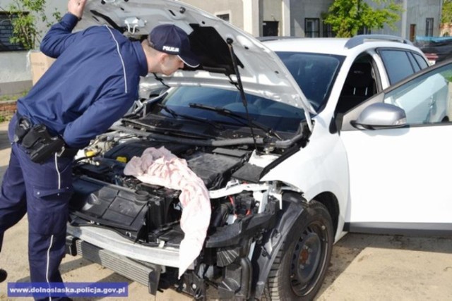 Policja Polkowice: zlikwidowali dziuplę