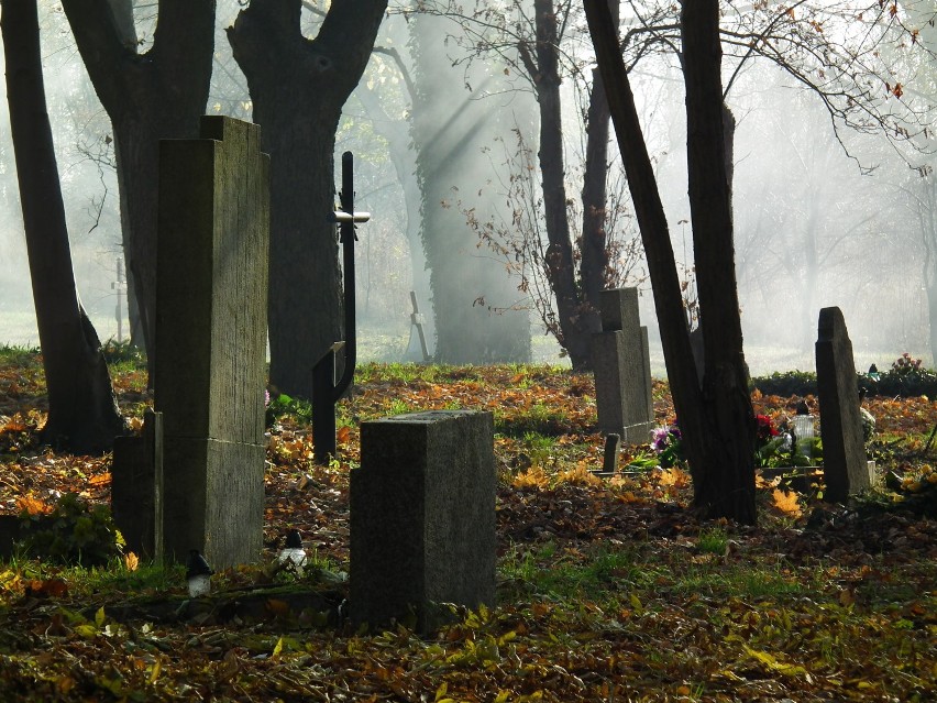 Poznaniacy odwiedzają cmentarze