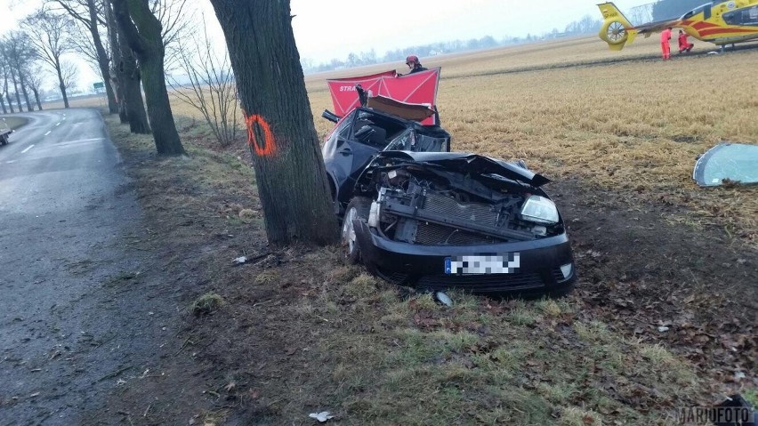 Do wypadku w Krępnej doszło około godz. 5.30.
