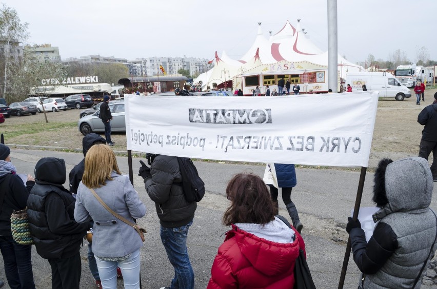 Pikieta pod cyrkiem Zalewskim