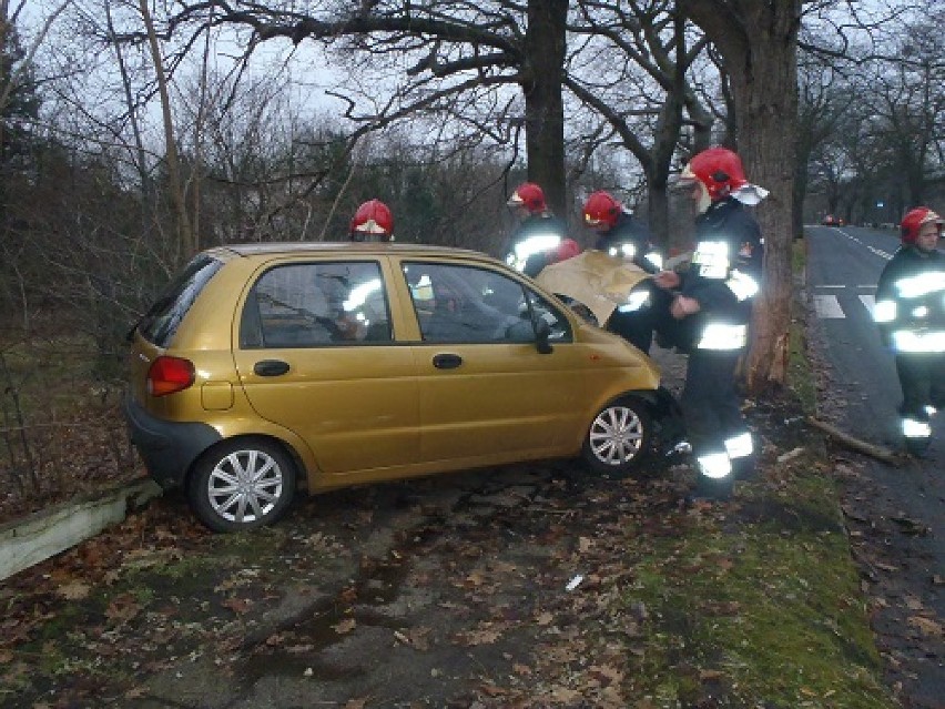 Kierowca uderzył w drzewo na ul. Staszica