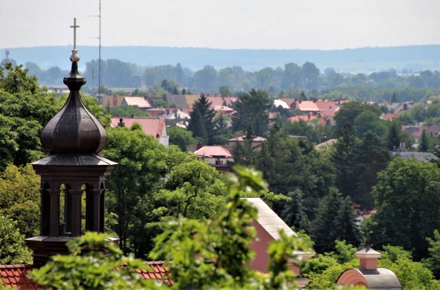 Widok z wieży katedralnej w Zamościu