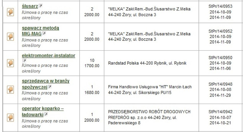 Oferty pracy Żory: Sprawdź, jakie są. Ile możesz zarobić?