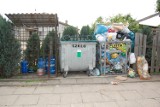 Sprawdź, kiedy będą wywozić śmieci w Twojej gminie - harmonogramy wywózu z wszystkich gmin