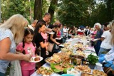 Piknik polsko-ukraiński w Dębicy [FOTORELACJA]