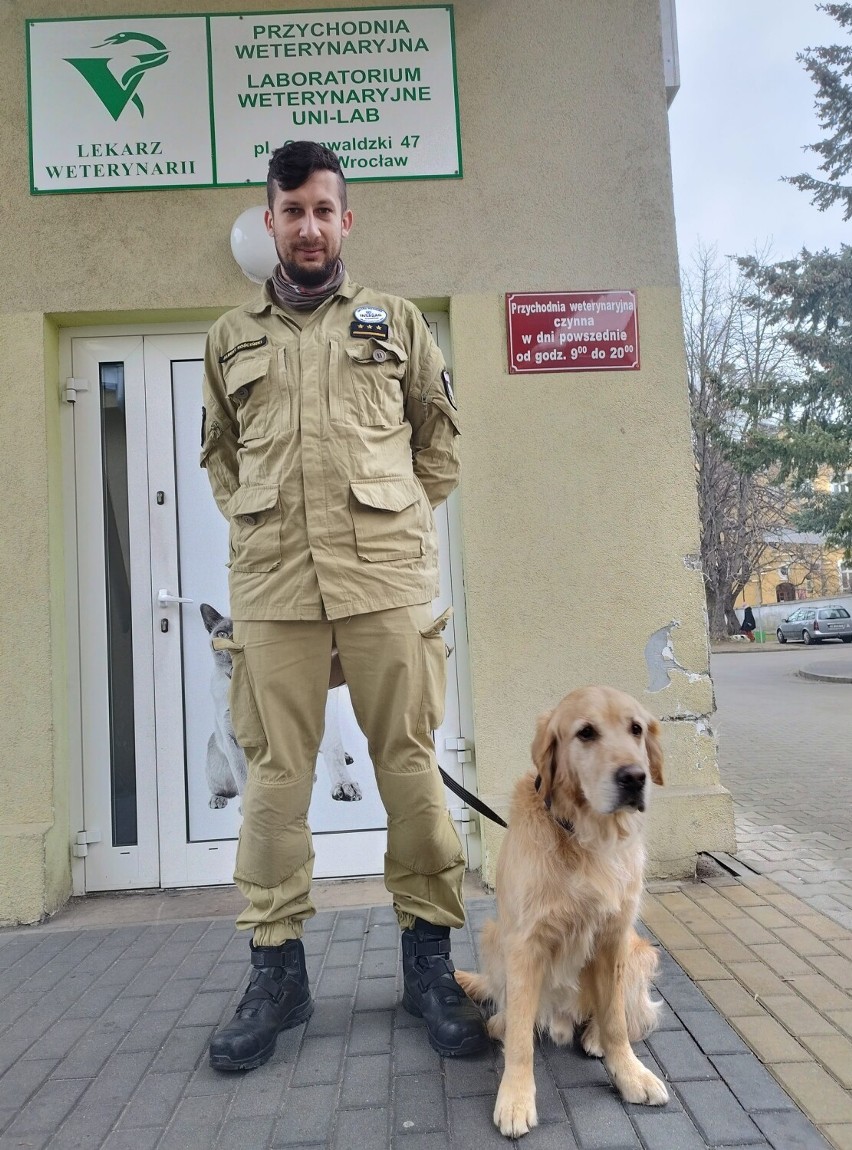 Pies Orion z Wałbrzycha wrócił z misji w Turcji, przechodzi...
