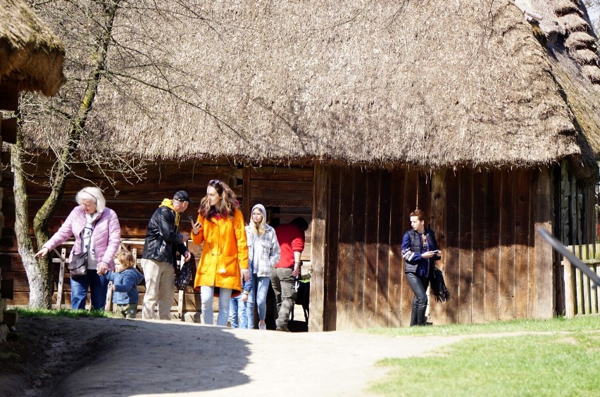 Mieszkańcy regionu, turyści i zwierzęta korzystają z uroków wiosny w Muzeum Wsi Lubelskiej. Zobacz zdjęcia