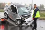 Biedny, mały smarcik, bardzo ucierpiał. Wypadek na ul. Szczecińskiej we Wrocławiu (ZDJĘCIA)