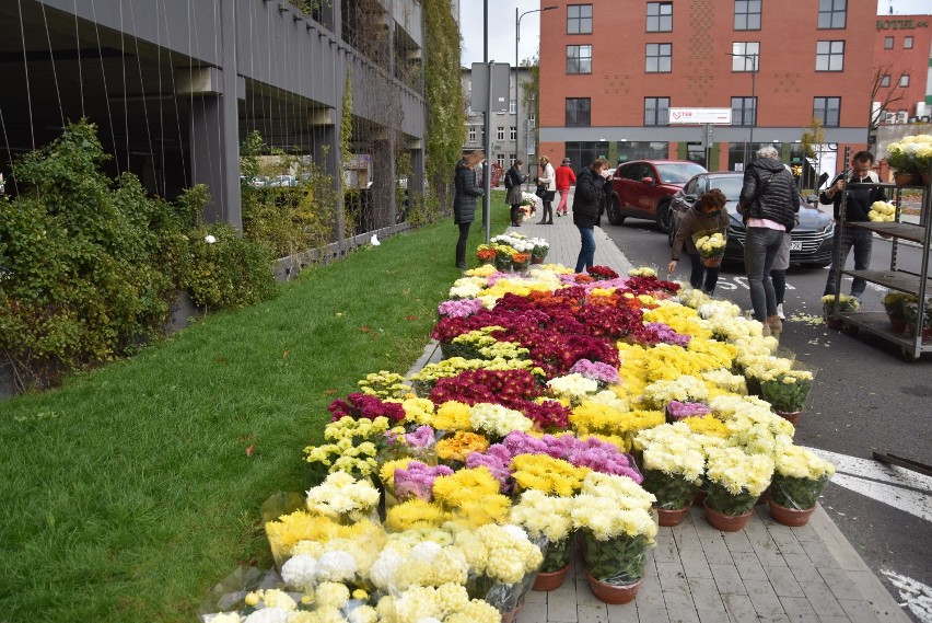 Masłowski chryzantemy położy pod biurem PiS. Kupił kwiaty od sprzedawców przy parkingu wielopoziomowym