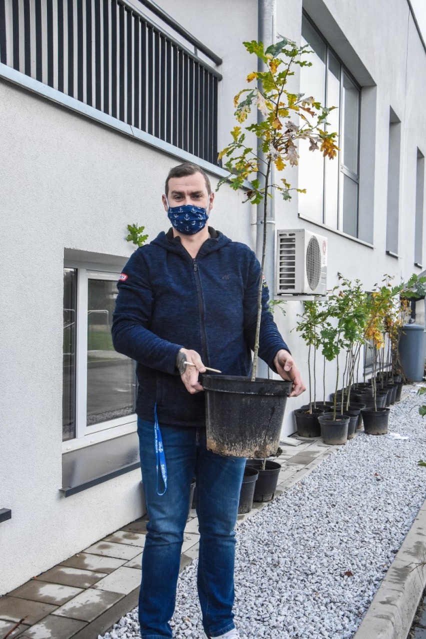 Szamotuły. Akcja "Posadź Swoje Drzewo" to ważny krok do budowy zielonego miasta [ZDJĘCIA]