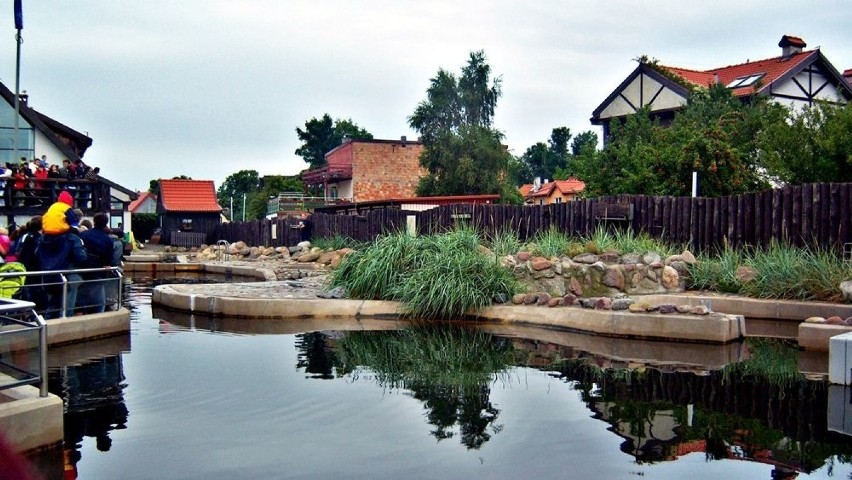 Jeden z basenów w fokarium. Fot. Rafał Grząślewicz