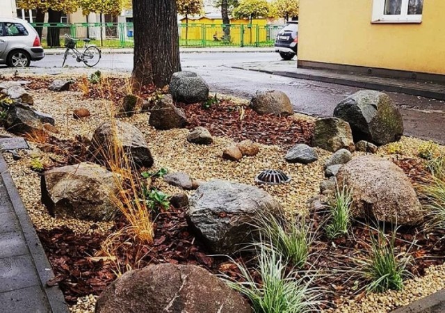 Również władze Kalisza stawiają na małą retencję. Pierwszy w tym mieście ogród deszczowy zaprojektowano przy ulicy Podgórze.