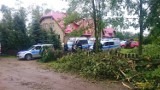 Policjanci z Bydgoszczy i Sępólna Krajeńskiego pomagają usuwać skutki burzy w woj. pomorskim