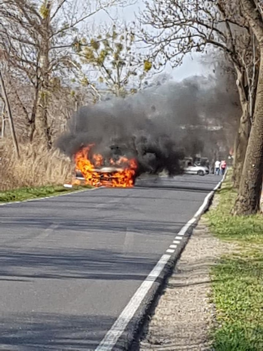 Pożar samochodu

DRZWI OTWARTE W SZKOŁACH POWIATU...