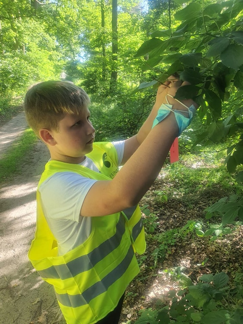 Kąkolewo: Poprzez zabawę uczą matematyki. Teraz chcą stworzyć park miniatur 