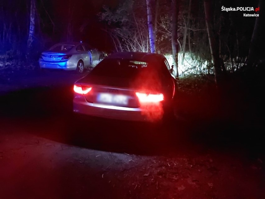 Katowice: Uciekał skradzionym audi przed policjantami, uderzył w drzewo i uciekł, odjeżdżając... innym autem.
