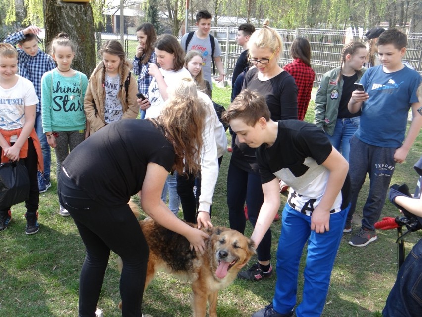 Uczniowie ZSG 7 w schronisku dla zwierząt w Radomsku