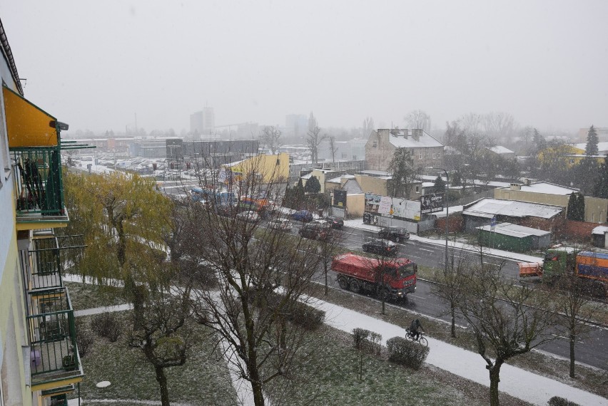 W Kaliszu spadł śnieg. Zobacz, jak wygląda przykryte cienką...