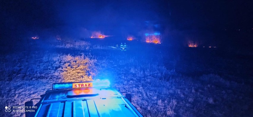Kolejny pożar traw w gminie Radwanice. Strażacy gasili nieużytki koło Nowego Dworu