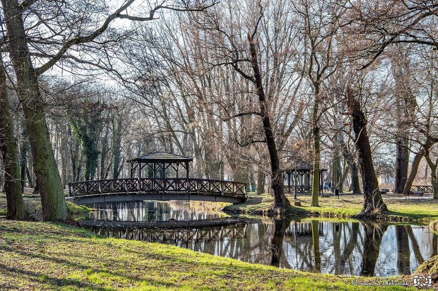 Pleszew. 16-latek wrzucił worek ze śmieciami do stawu w...