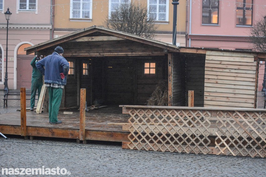 Szopka już stoi na grudziądzkim Rynku. Od piątku będą w niej zwierzęta [zdjęcia]