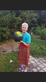 Jadwiga Neugebauer wyhodowała w swoim ogródku arbuzy giganty [ZDJĘCIA]