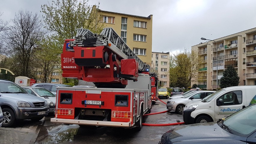 Śmiertelny pożar na łódzkiej Retkini. Nie żyje młoda kobieta [ZDJĘCIA, FILM]