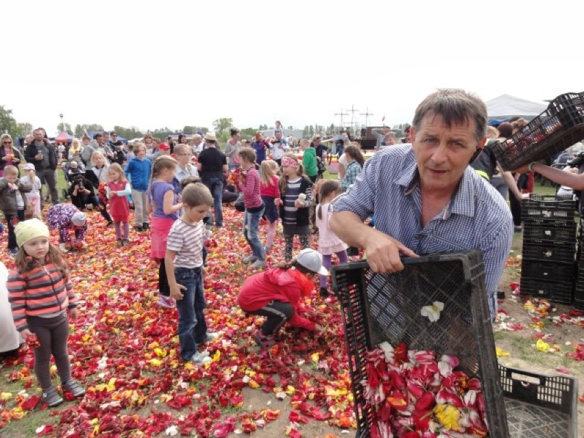 Mokry Dwór: Żuławski Tulipan 2015 Zobacz kompozycje z tulipanów [FOTO]