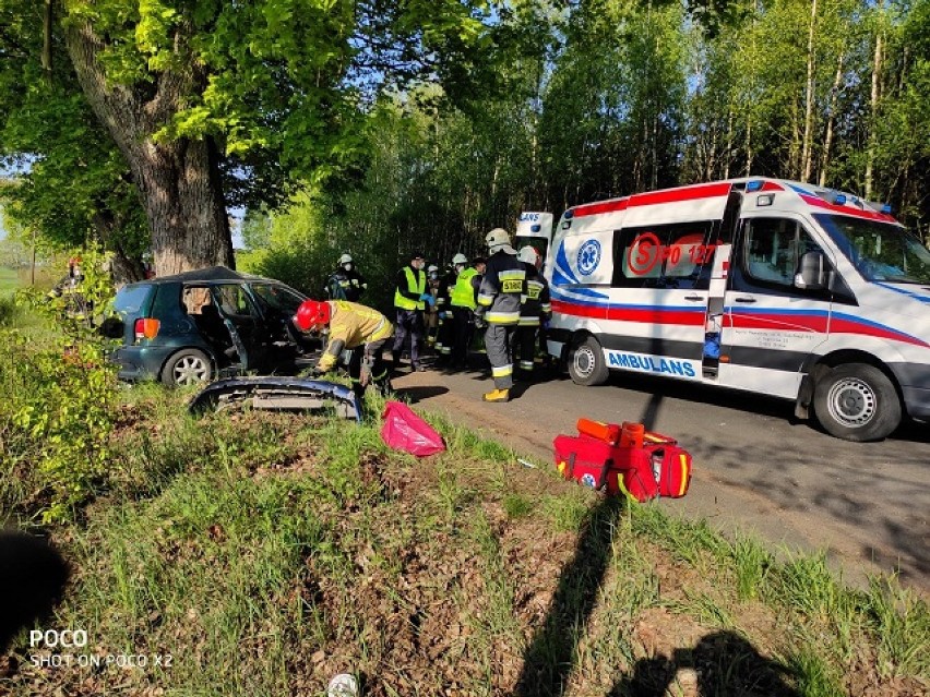 Auto osobowe uderzyło w drzewo niedaleko Starej Wiśniewki