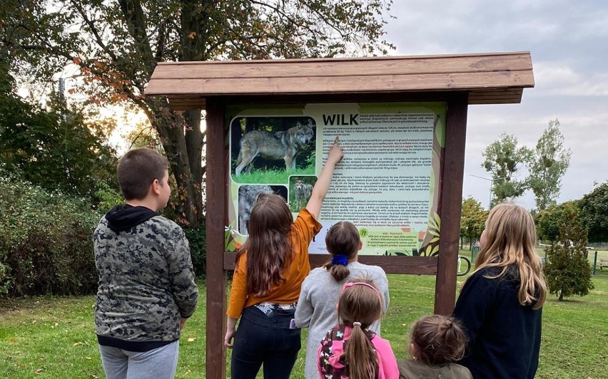 Leśny Zakątek w świetlicy wiejskiej w Żelisławkach.  Nauka o zwierzętach i naturze, przyrodnicze gry i zabawy |ZDJĘCIA