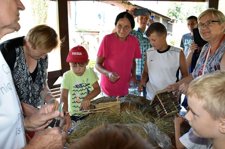 Budowali zimowe schronienia dla owadów w Legnicy [ZDJĘCIA]