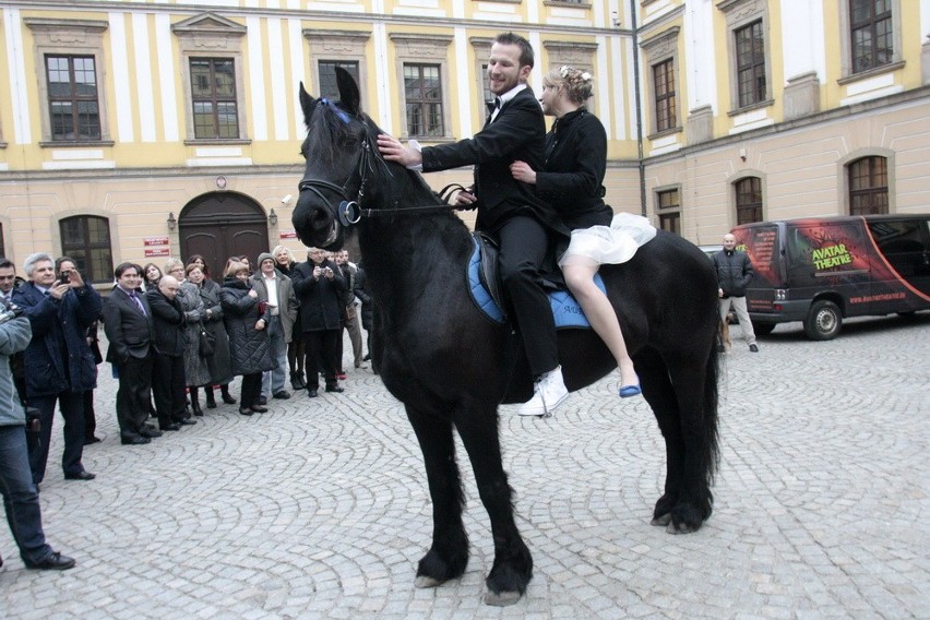Ach co to był za ślub w Legnicy (FOTO)