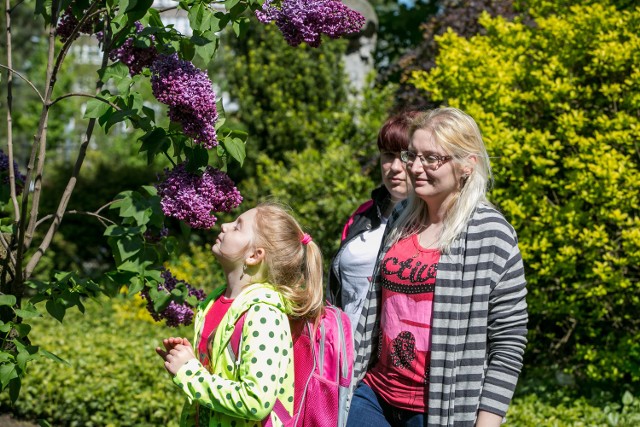 Ogród Botaniczny w Krakowie