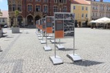 Na Rynku w Tarnowskich Górach można oglądać wystawę dotyczącą powstania śląskiego