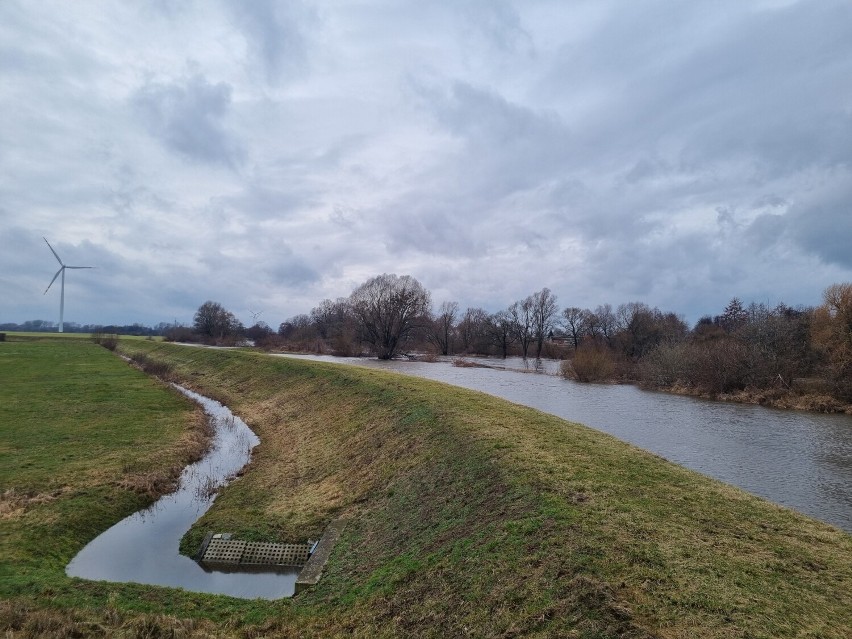 Obniża się poziom wody w Prośnie i innych rzekach powiatu pleszewskiego. Sytuacja wraca powoli do normy