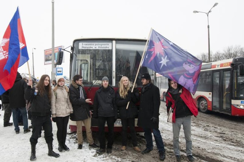 "Sentymentalny Ikarus" w Gdańsku. Historyczny przejazd czerwonym Ikarusem [ZDJĘCIA]