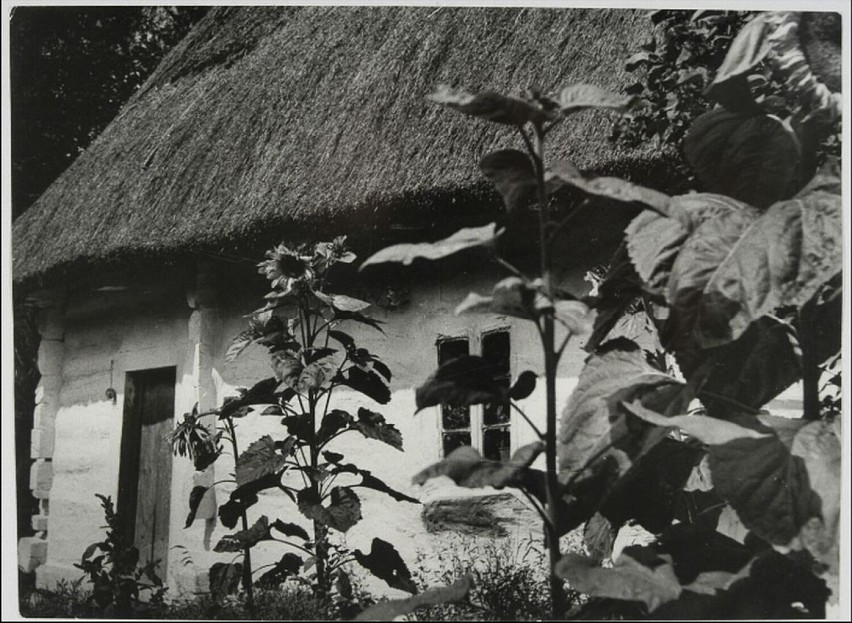 Bielona chata z ogrodem 1932 r.