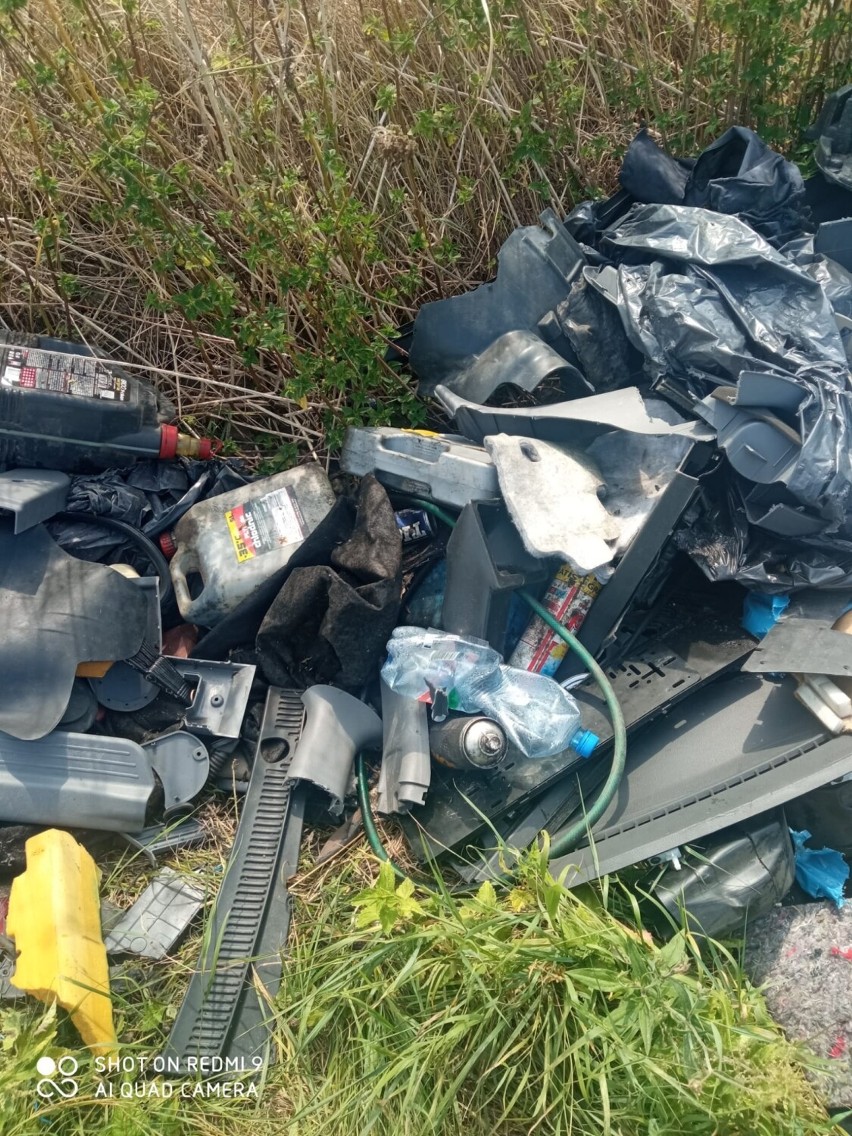 Gmina Gniezno. Dzikie wysypisko śmieci między Braciszewem a Oborą. Policja szuka sprawców!