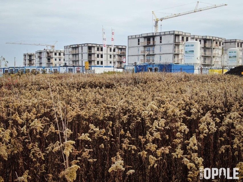 Tak wygląda postęp prac na budowie mieszkań w Opolu-Winowie.