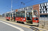 Finał akcji Pola Nadziei w Gdańsku. Darmowe kursy zabytkowego tramwaju, podświetlony Neptun i tysiące wolontariuszy w całym Trójmieście