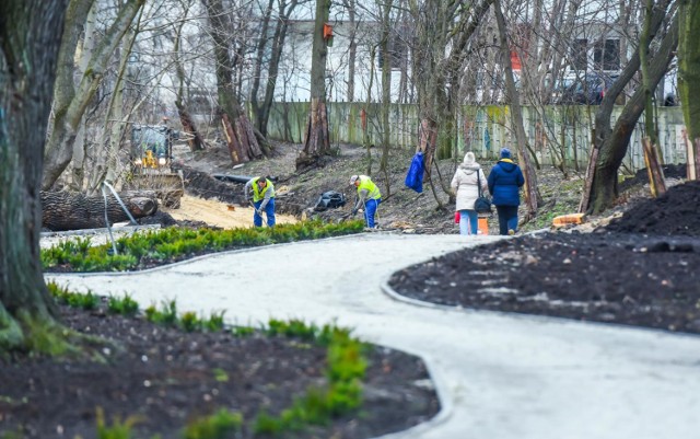 Park na Wzgórzu Wolności powstał w latach 1911-1913. Początkowo był utrzymany w stylu leśno-górskim i miał siedem hektarów. Na jego terenie Niemcy zbudowali wieżę Bismarcka, która mierzyła 25 metrów wysokości, a z jej najwyższego tarasu można było podziwiać panoramę miasta. W 1928 roku została wysadzona w powietrze, a po zakończeniu II wojny światowej stworzono tam Cmentarz Bohaterów Bydgoszczy.

Wszystkie prace, związane z rewitalizacją parku, mają zakończyć się w maju. Na razie można już zobaczyć jak będą przebiegały ścieżki. Pojawiły się także nowe nasadzenia i elementy małej architektury, jak między innymi karmnik dla zwierząt. - W całym parku pojawią się też nowe drzewa i krzewy - informują w bydgoskim ratuszu. - Wprowadzone będą gatunki, których owoce stanowić będą pokarm dla ptaków i owadów oraz rośliny kwitnące.

Na drzewach zawisną budki lęgowe. Pojawi się również hotel dla owadów. Koszt rewitalizacji to blisko dwa miliony złotych. 


Dwa razy więcej fotoradarów na polskich drogach. Zobacz wideo!

