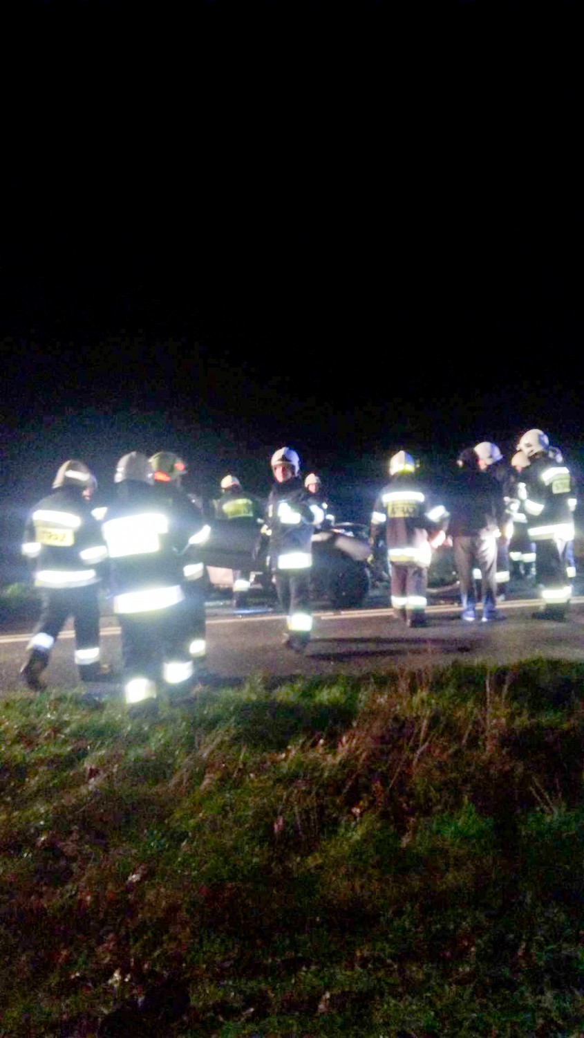 Wypadek w Dolnym Młynie. Strażacy wyciągali z auta zakleszczonego kierowcę [zdjęcia]